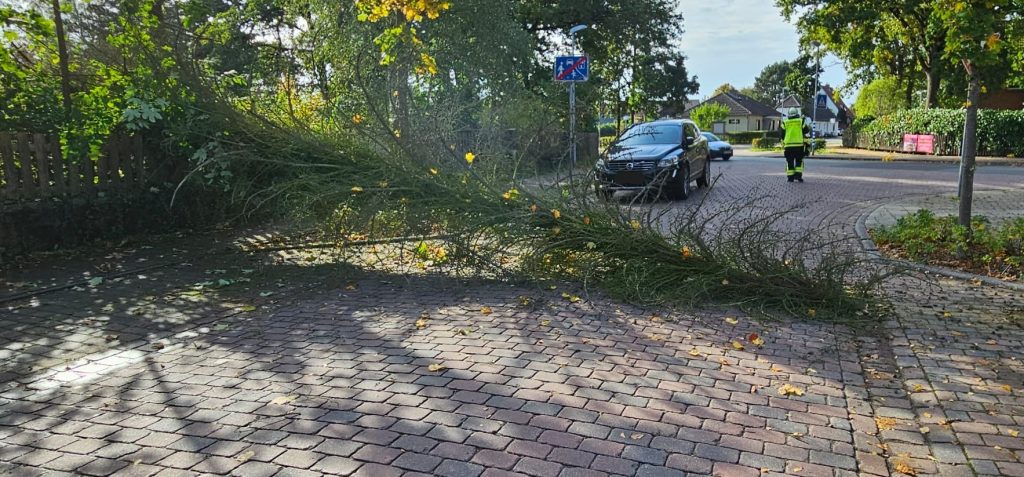 Baum auf Fahrbahn am 13.10.2023