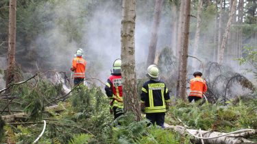 WB1 Waldbrand zwischen Helmerkamp und Nienhof