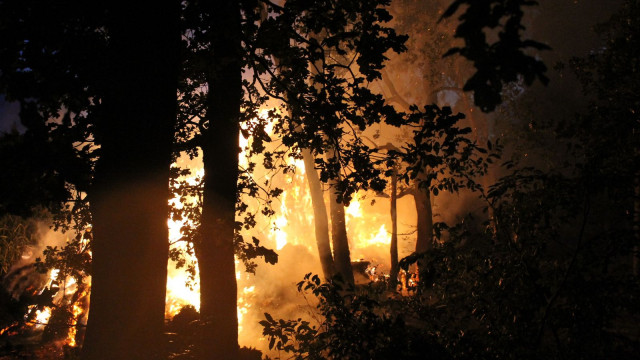 Strohballenbrand am 12.08.2023