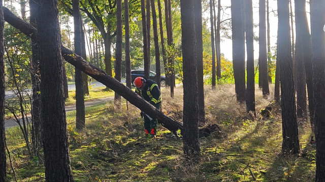 Sturmeinsatz am 13.10.2024