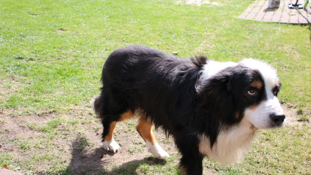 B3Y Brandeinsatz im Heidkamp am 10.04.2025