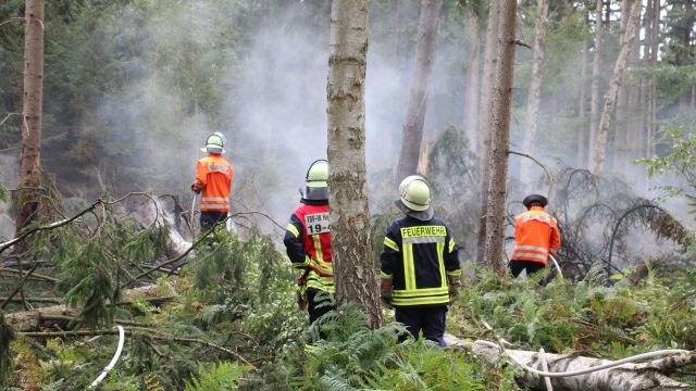 WB1 Waldbrand zwischen Helmerkamp und Nienhof