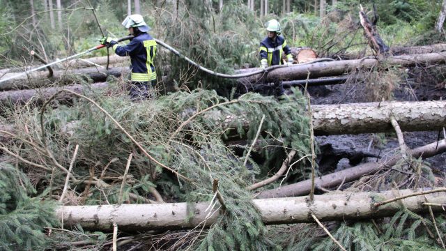 WB1 Waldbrand zwischen Helmerkamp und Nienhof